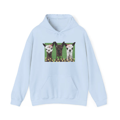 Brighten Your Day Hoodie by Eagle Eye Farm