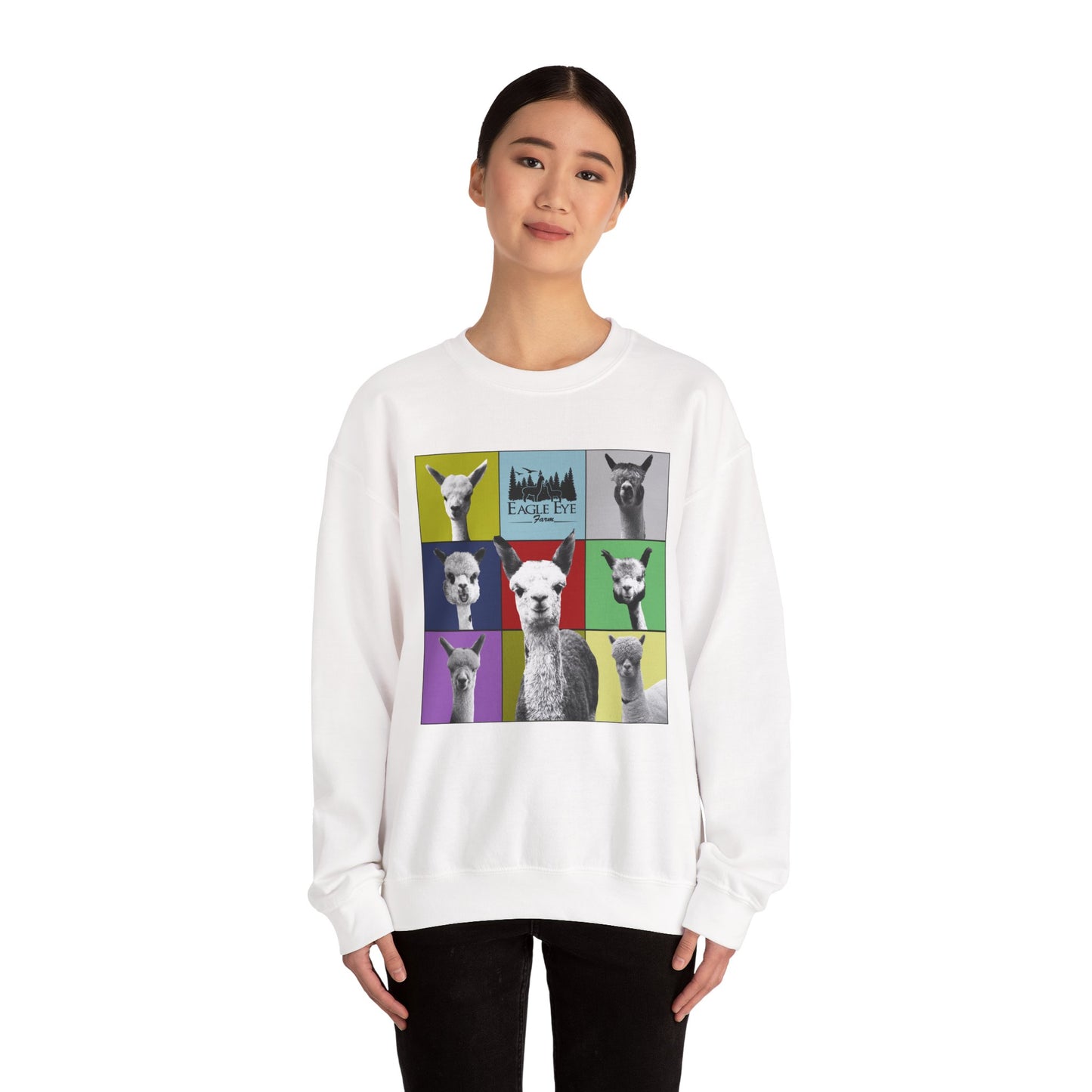 Colorful Crewneck Sweatshirt