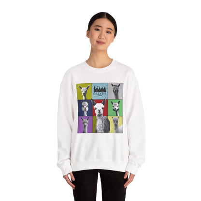 Colorful Crewneck Sweatshirt
