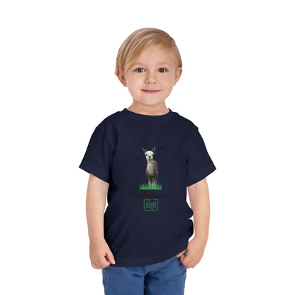 Calio-peace Toddler Tee