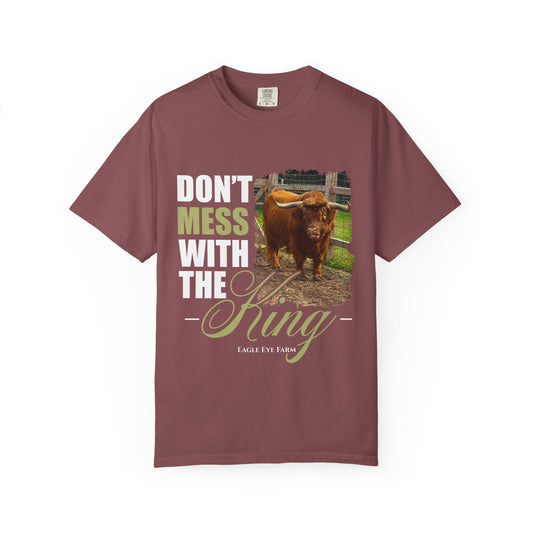 Barney T-shirt