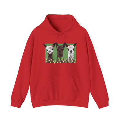 Brighten Your Day Hoodie by Eagle Eye Farm