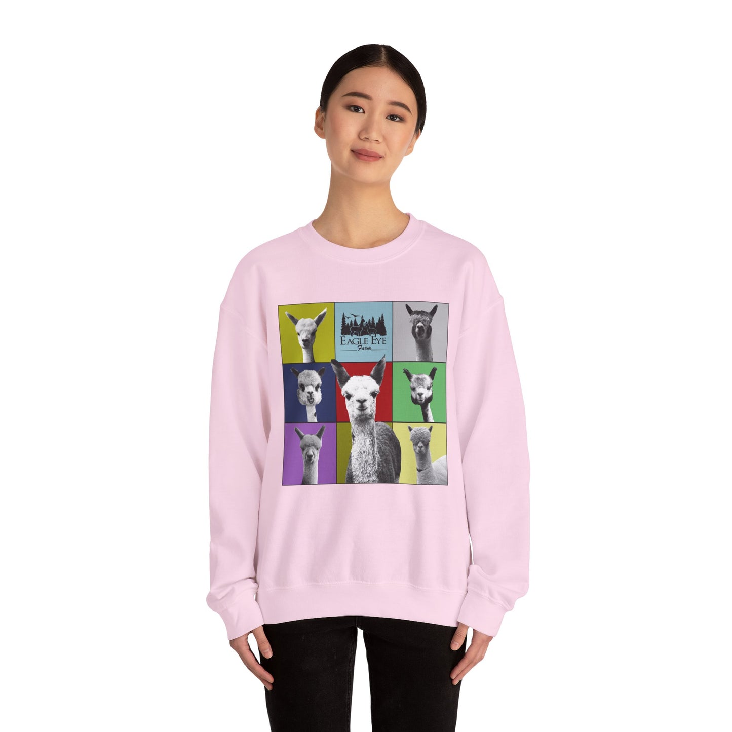 Colorful Crewneck Sweatshirt