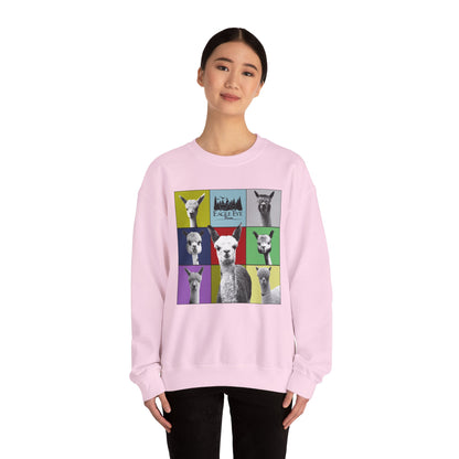 Colorful Crewneck Sweatshirt