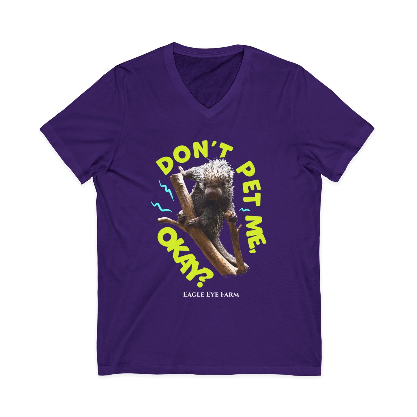 Don't Pet Me  V-Neck Tee