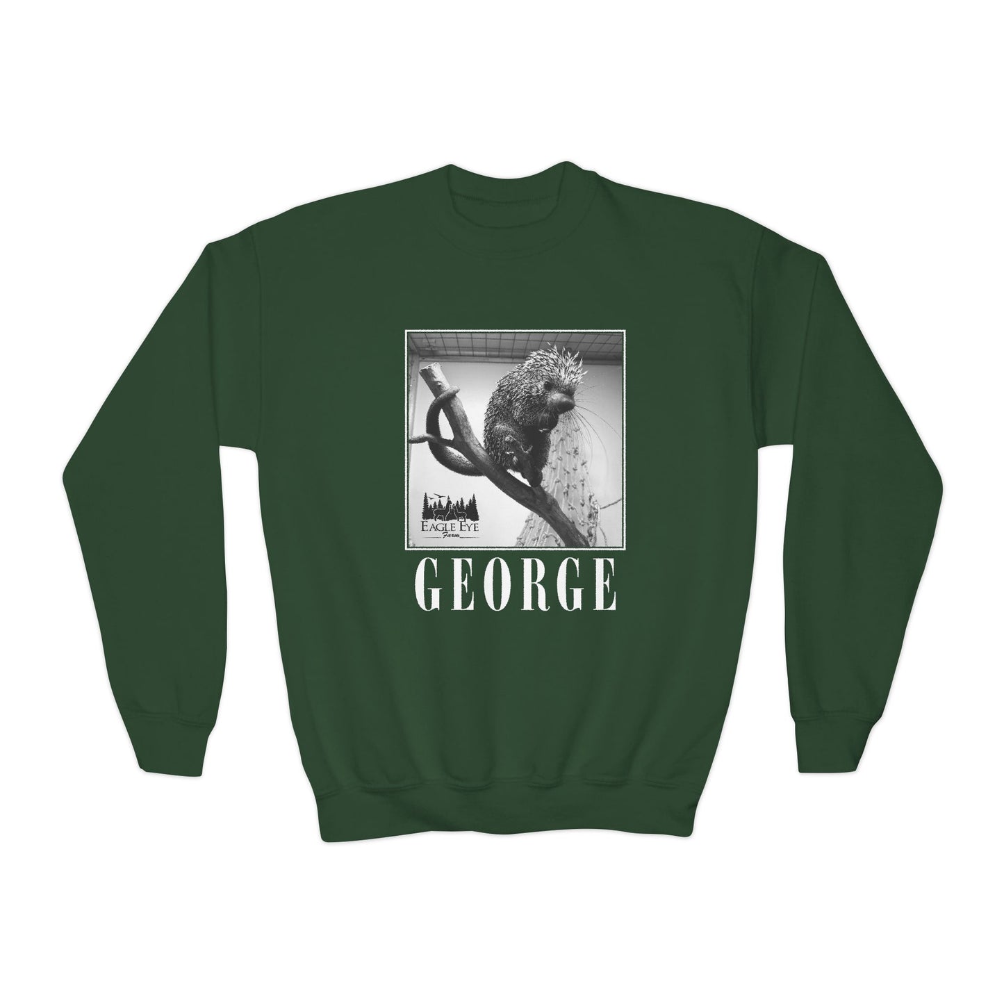 Porcupine Youth Crewneck Sweatshirt