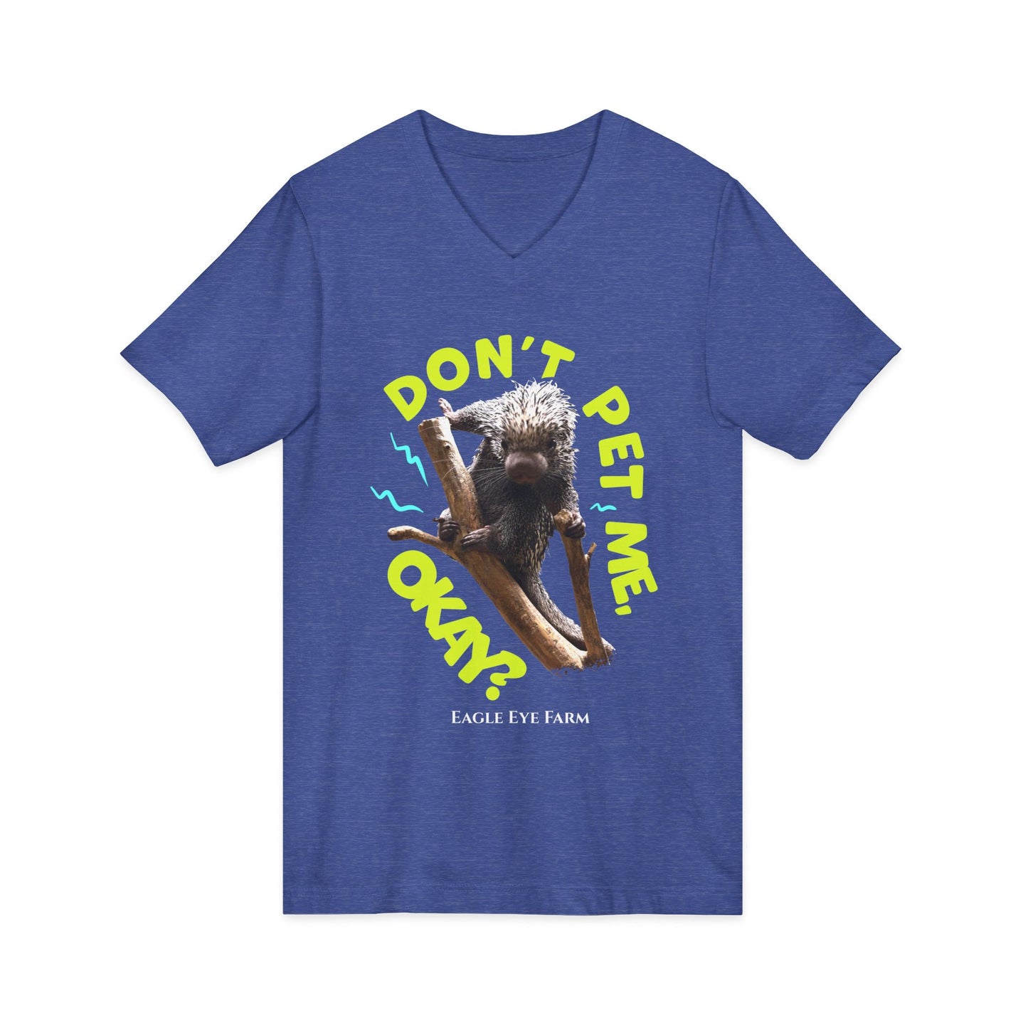 Don't Pet Me  V-Neck Tee