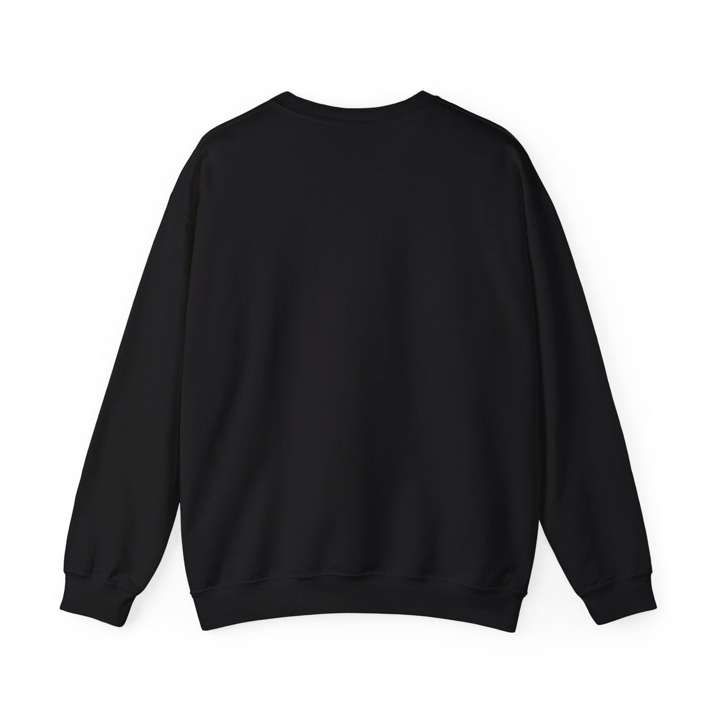 Brewster and Lumi Crewneck Sweatshirt