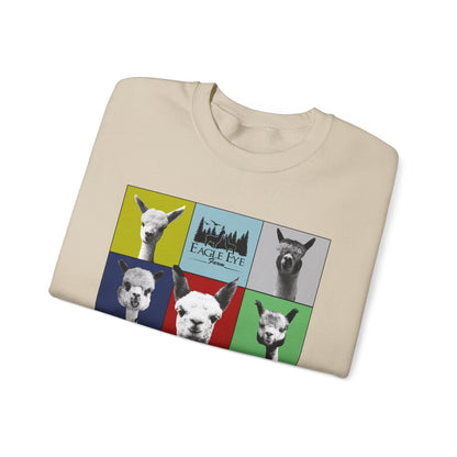 Colorful Crewneck Sweatshirt