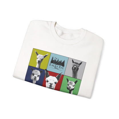 Colorful Crewneck Sweatshirt