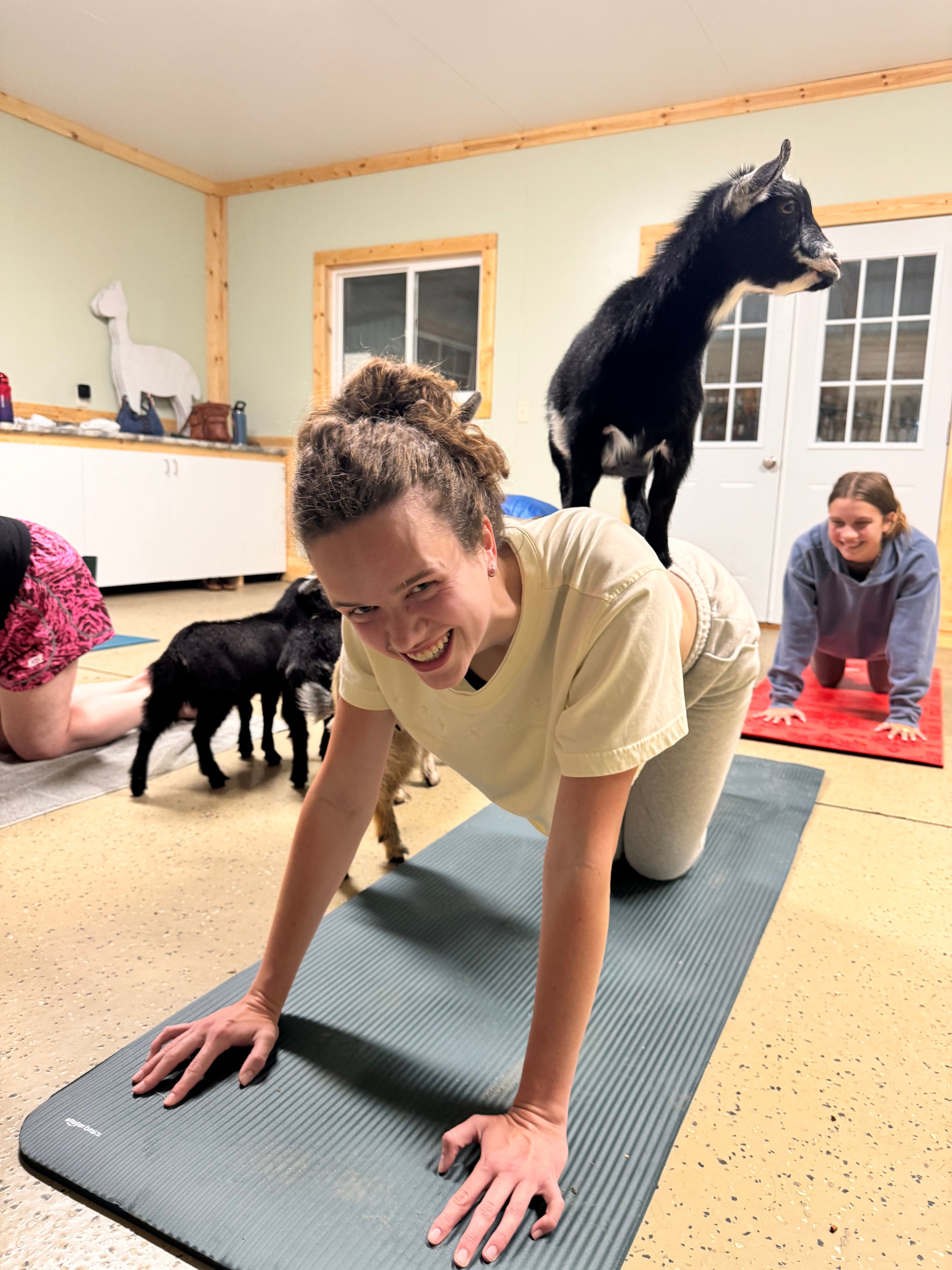 Goat Yoga