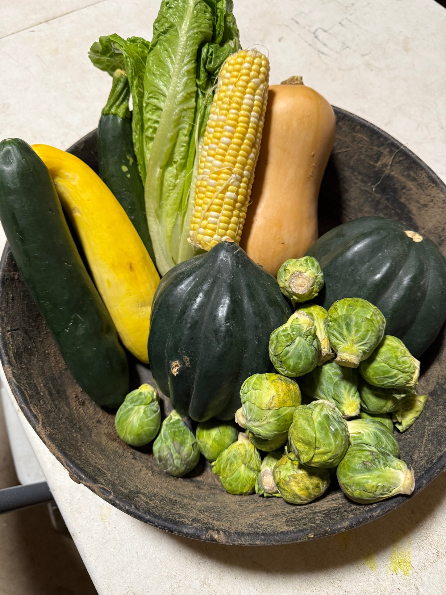 Harvest Feast: Thanksgiving Vegetarian Dinner for Farm Animals