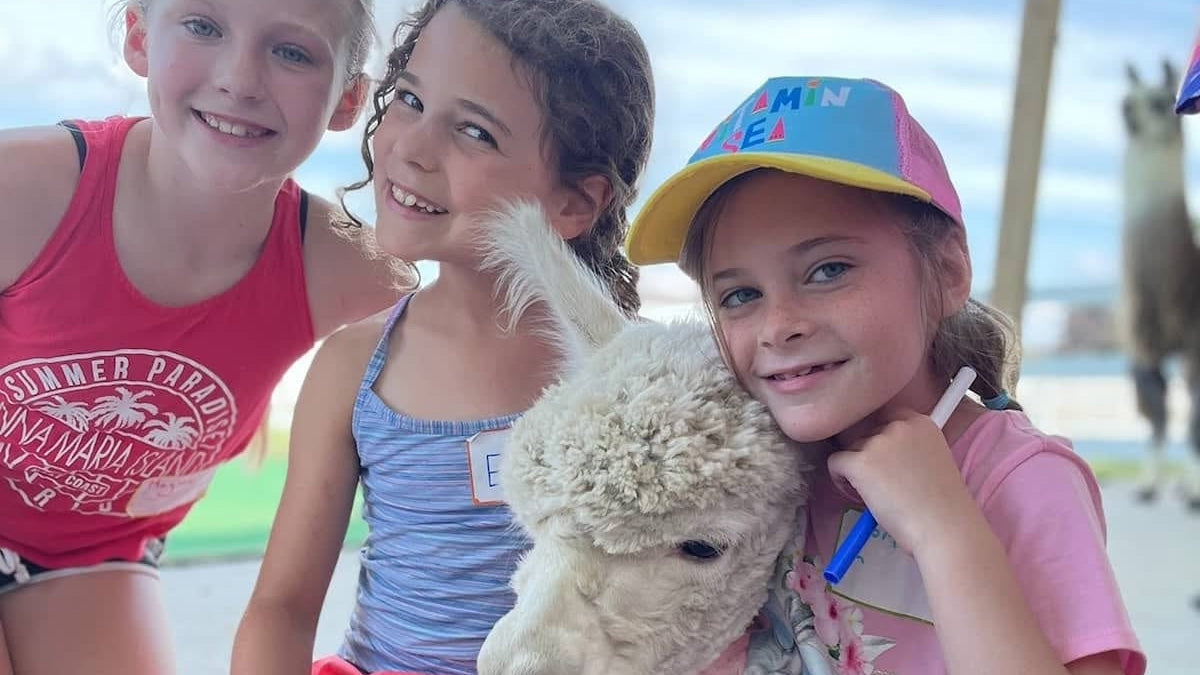 Barnyard Bash