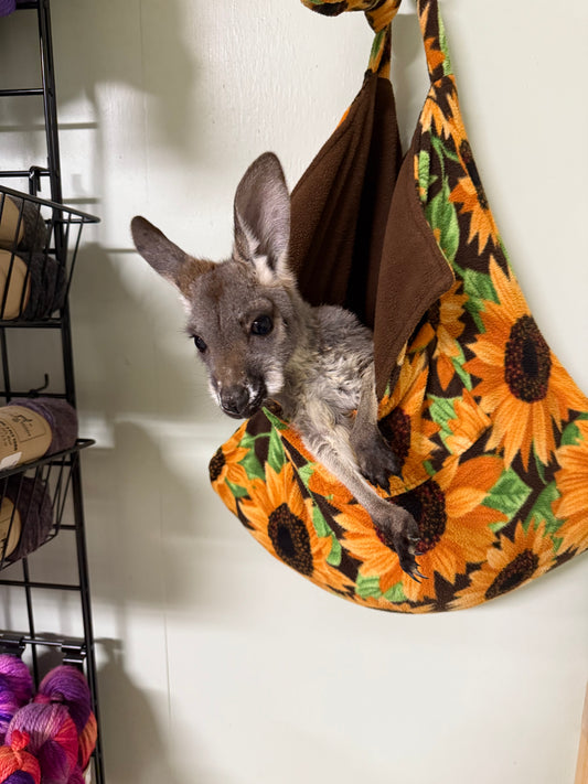 Kangaroo in bag