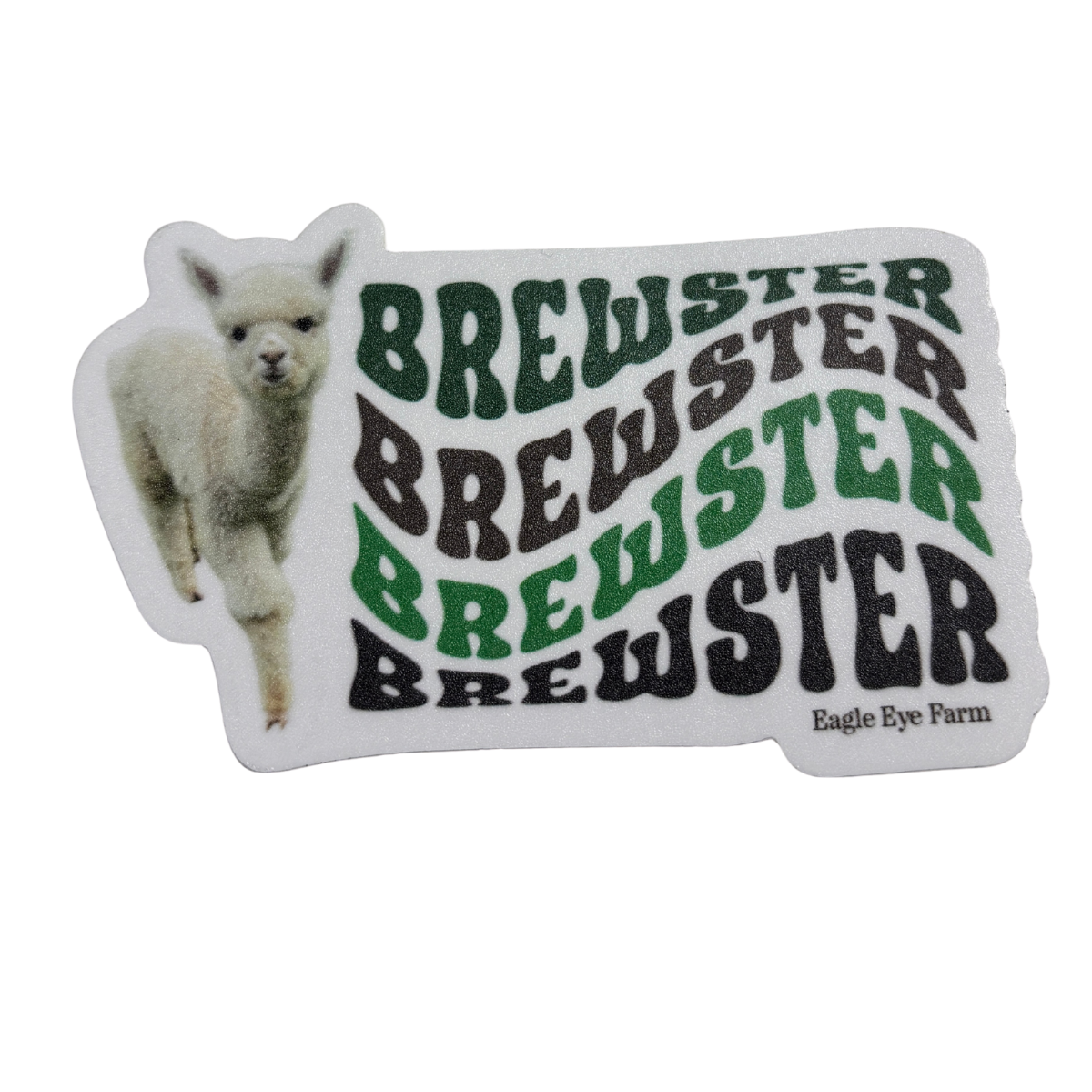 Brewster Memorial Bundle (White T-Shirt)
