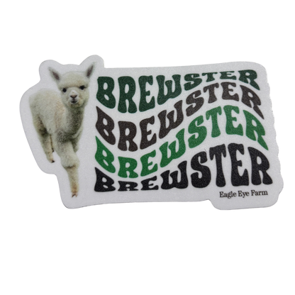 Brewster Memorial Bundle (Green T-shirt)