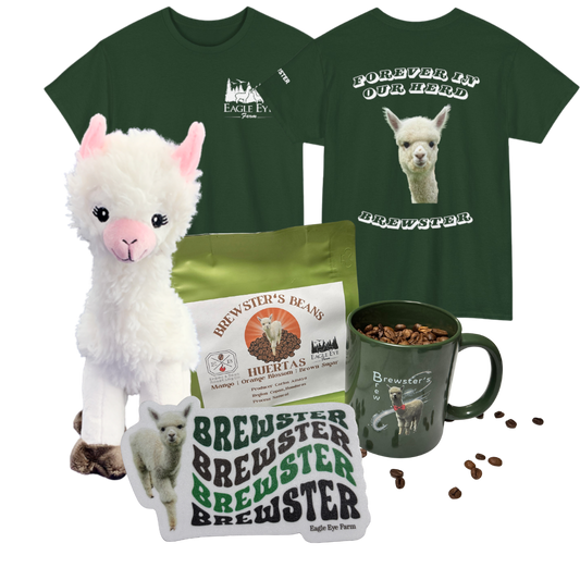 Brewster Memorial Bundle (Green T-shirt)