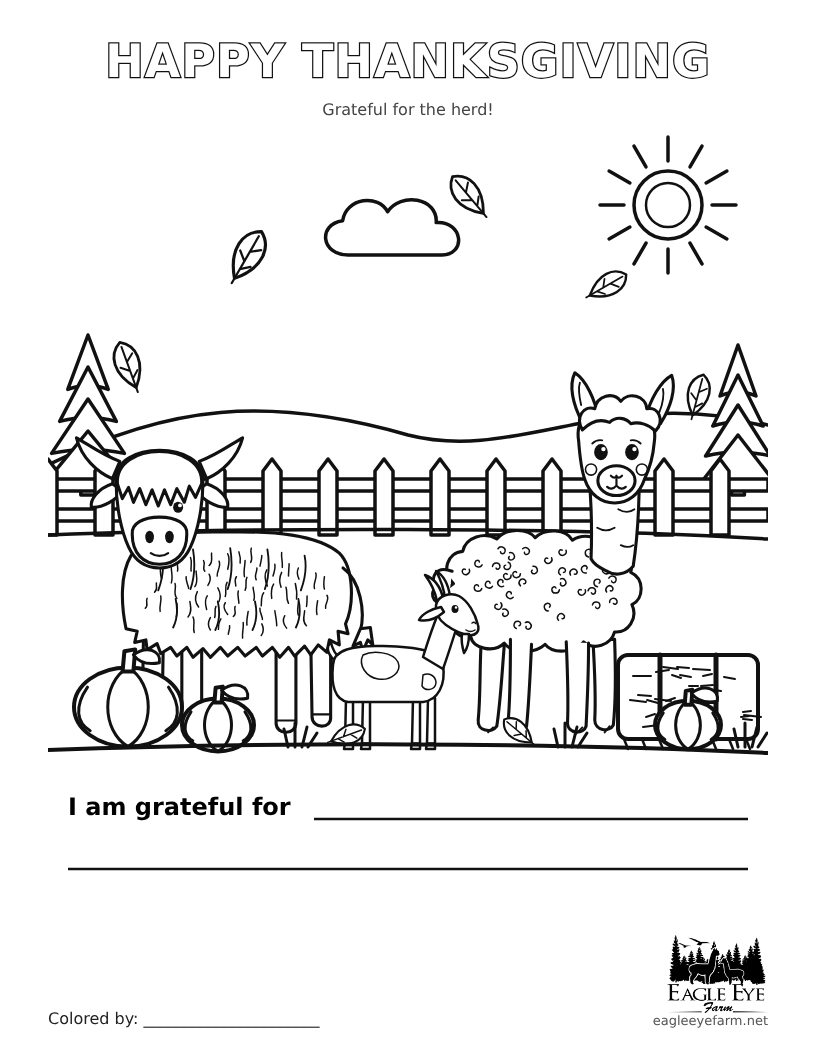 Eagle Eye Farm 2026 Thanksgiving coloring page with a Highland cow, alpaca, goat and pumpkins