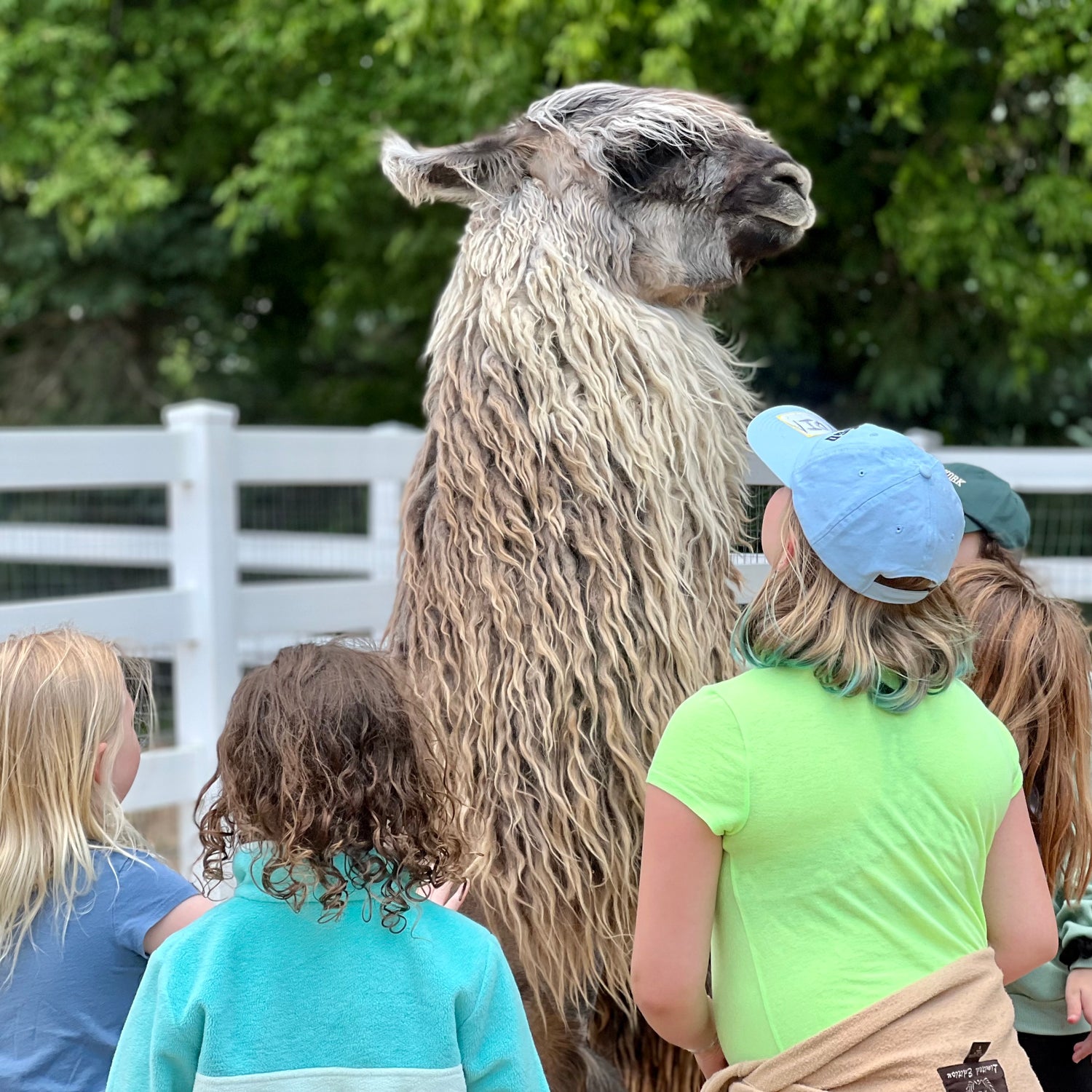 People taking a public tour of Eagle Eye Farm