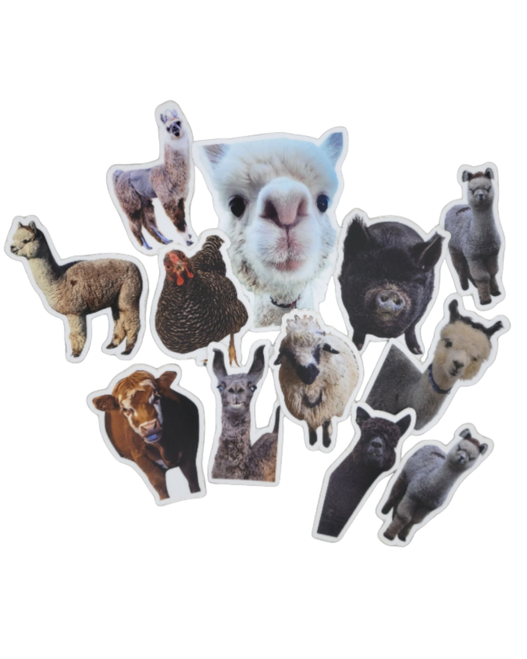 10 Stickers