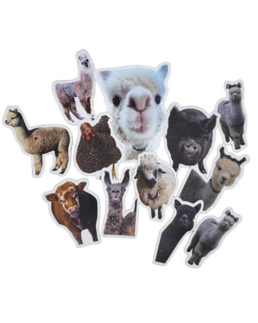 10 Stickers