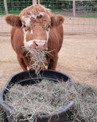 Feed the Farm for a Day