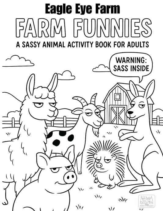 Adult Activity Book