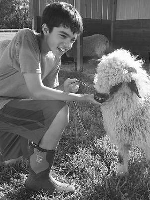 Fraya the sheep with a kid