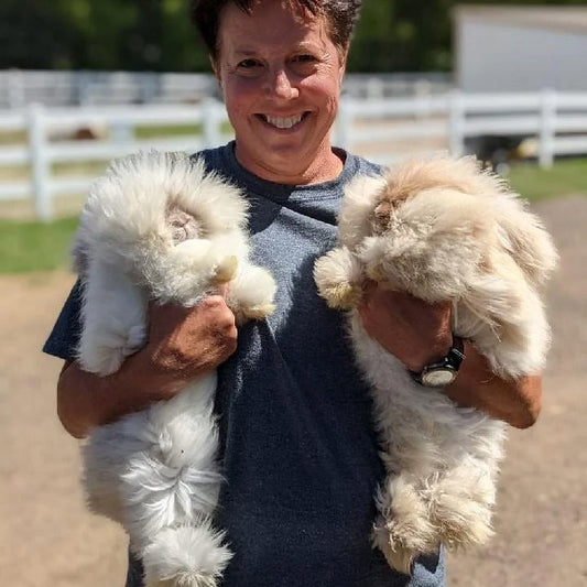 Rancher For A Day (ages 16+)